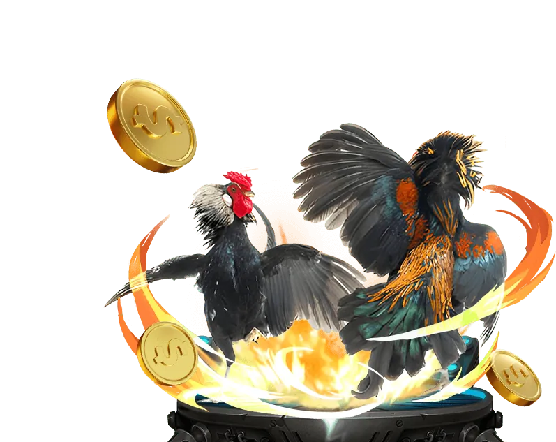 Hình ảnh minh họa tổ chức hỗ trợ cờ bạc chuyên nghiệp